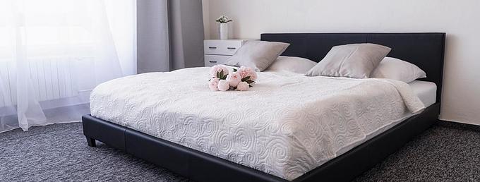 Penzion HOMER POD�BRADY